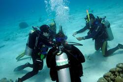 Bonaire Dive Holiday